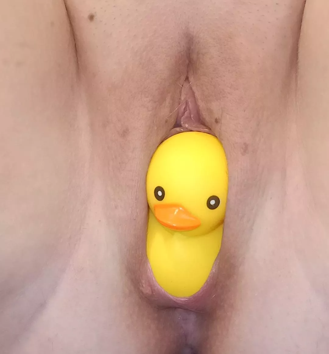 Rubber duck felt so good inside. posted by Columbia_1992