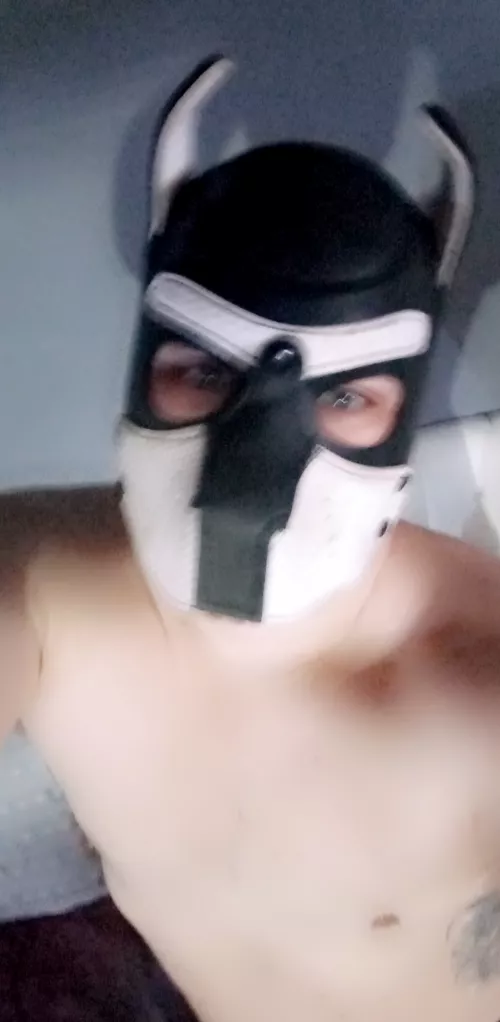 ruff ruff by Dry_Match3736