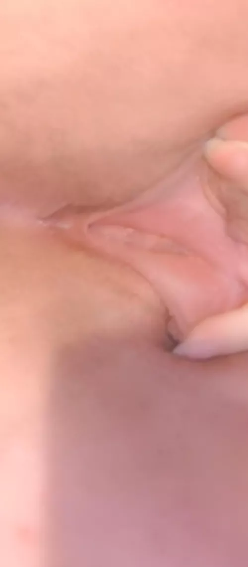 ✨ S p r e a d ✨ by Thealmightydeadpool