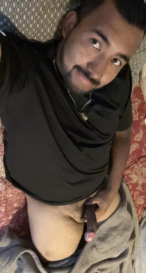 Saddle up and let’s go for a ride by dupish3326