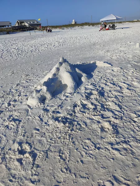 Sand crocodile I found by yonishunga