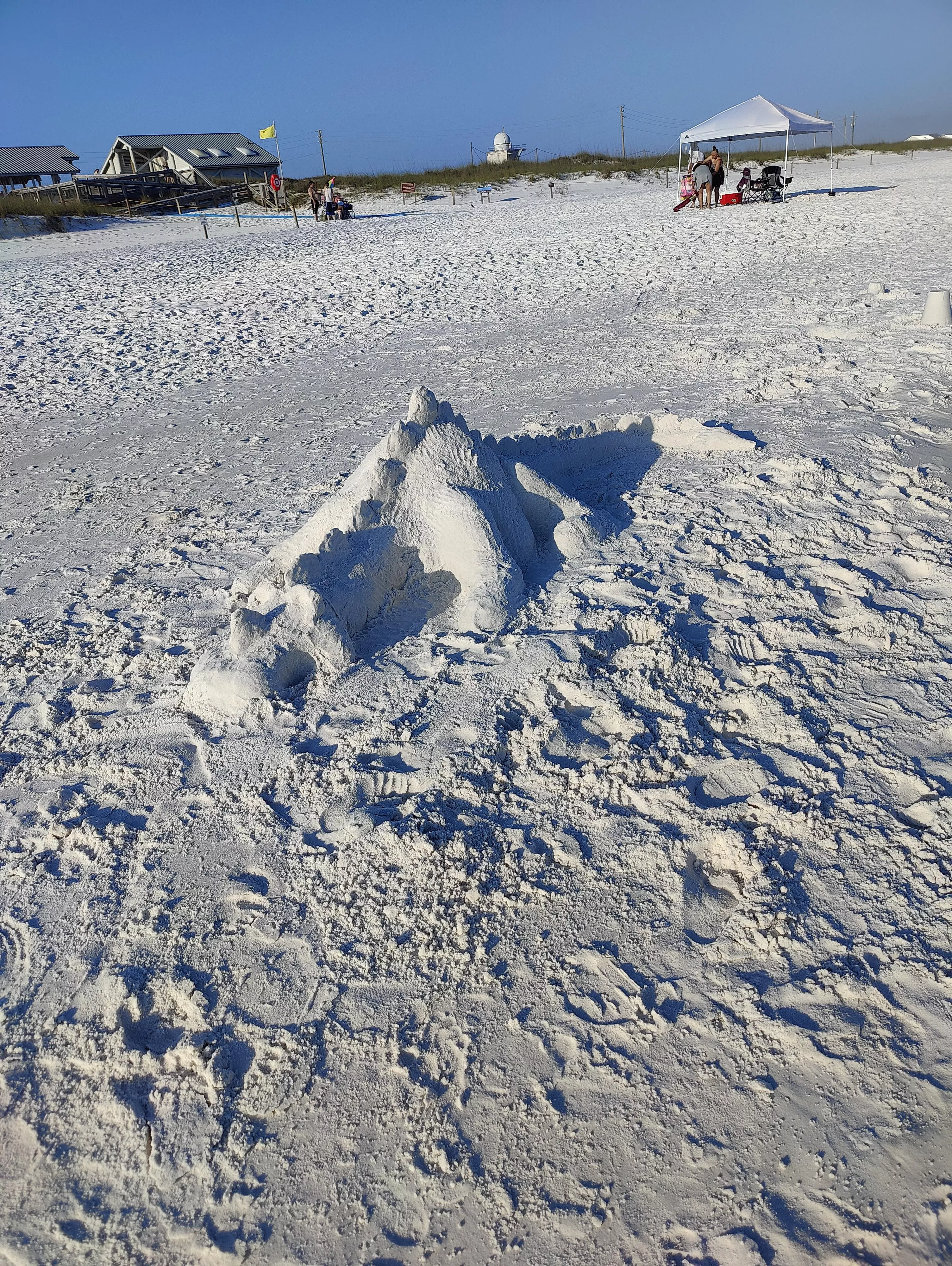 Sand crocodile I found posted by yonishunga