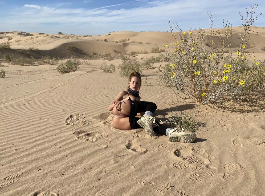 Sandy posted by bobybobjoe