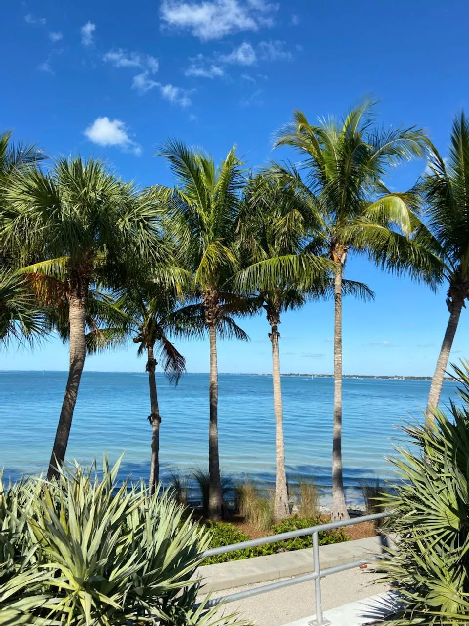 Sarasota,FL posted by Crisbel86