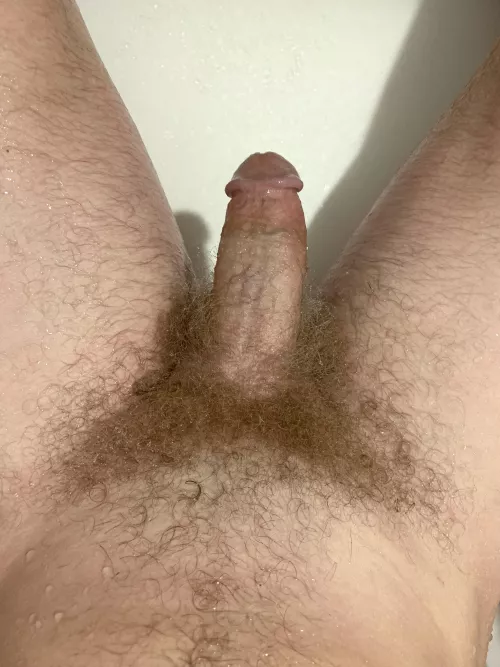 Saturday morning bush by CuriousBoyXXXX