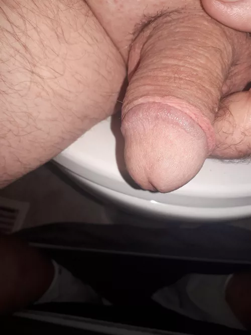 Saturday morning playtime (65) by gord0356