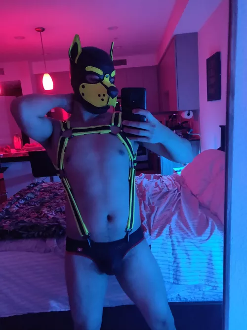 Saturday Night is shining on my Sunday morning face 🎶🎵🎶🎵 by poke_pup