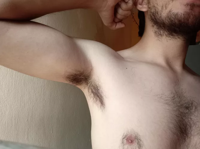 Saturday pits by capetia