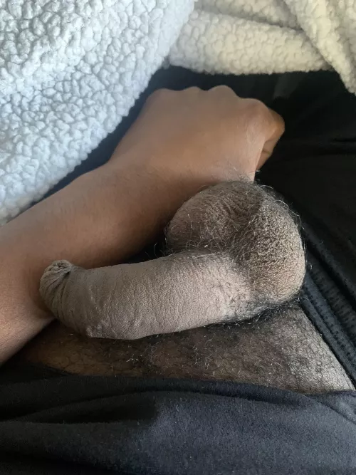 Saturday Softie by dinosaurlver30