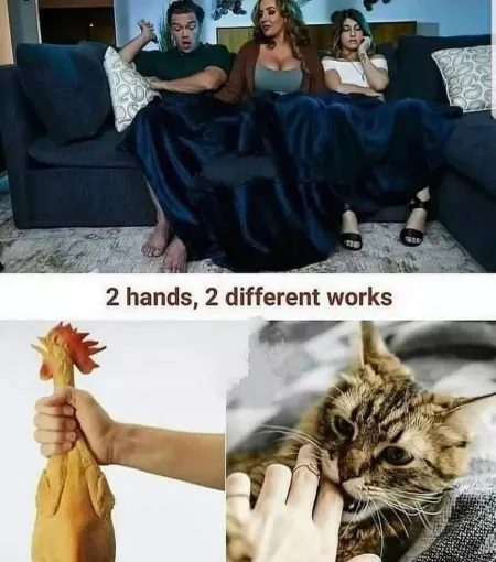 Sauce plz by bokh1led