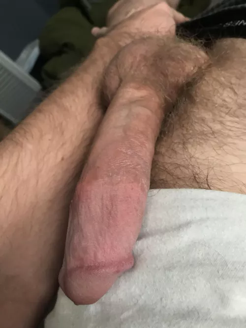 Say hello to my (not so) little friend 😏 by bradsmitty2