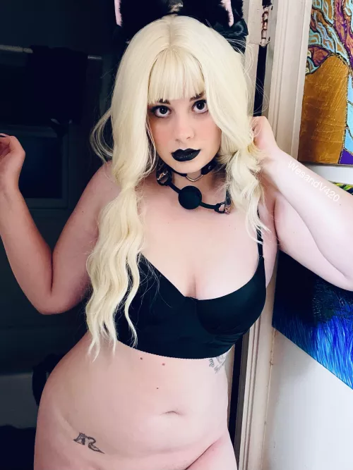 say hi if you want to see my 🐱 by Wesandveronica420