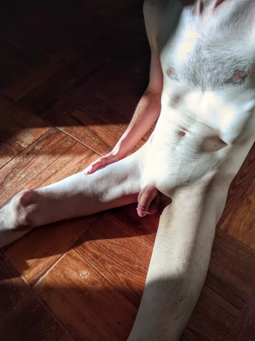 Schiele by default by slainteenolico