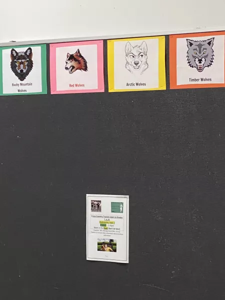 School is voting on a ferocious new mascot by Asquared1