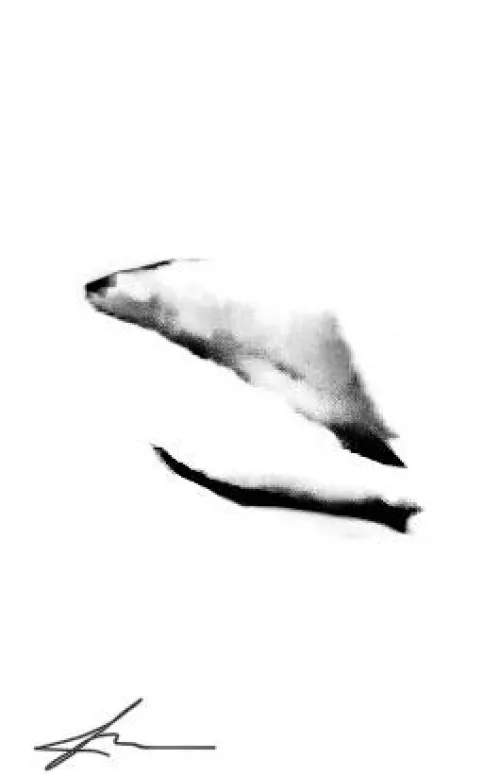 Seal on Snow (Labia) 2022, Original Content by Skilled_Slayer