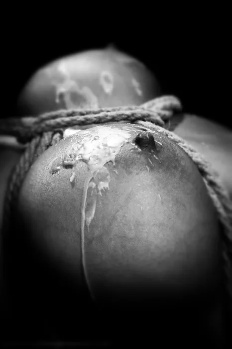 Sealed Nipple posted by subspacecadets