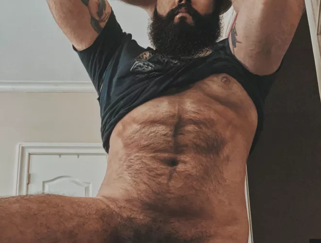 Season’s greetings by Lzaddy