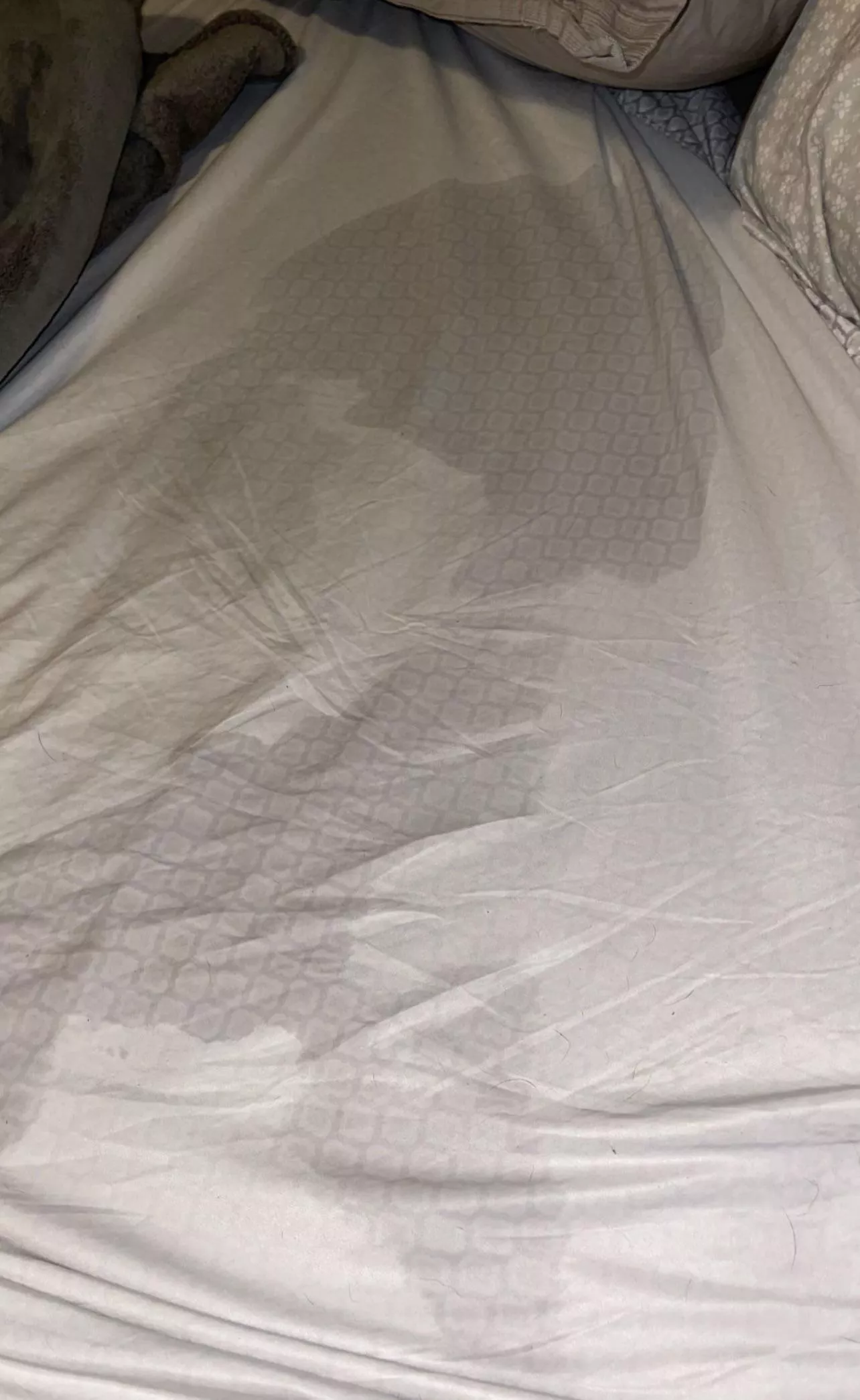 Second best squirt of my life. posted by sassyseductress