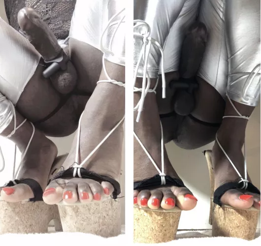 See anything you like? Tell me by tgirlshayla