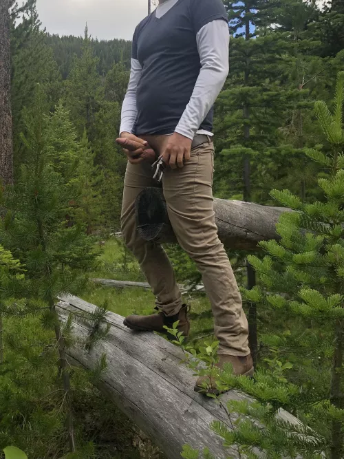 Seeing the forest through the trees by rbr_bc