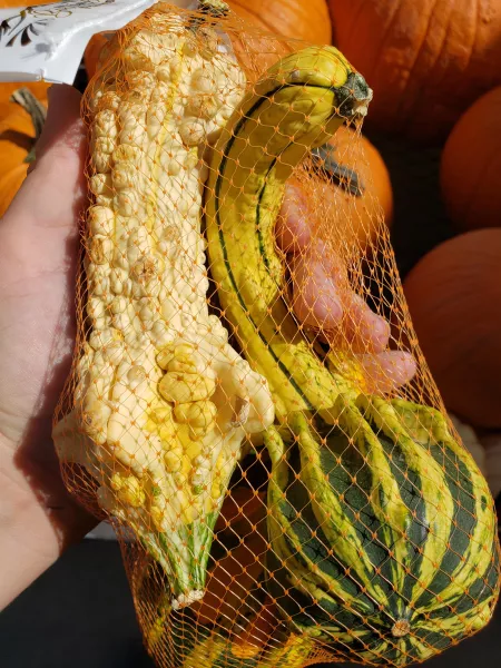 Seen these at work and thought of this group lol by aboxofsock