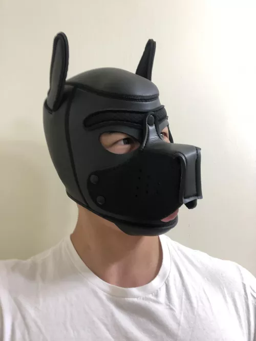 Self portrait of Ace! ♠️ by bestdayforlife