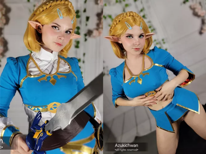 [self] Princess Zelda From BOTW By Azukichwan by youraltbarbie