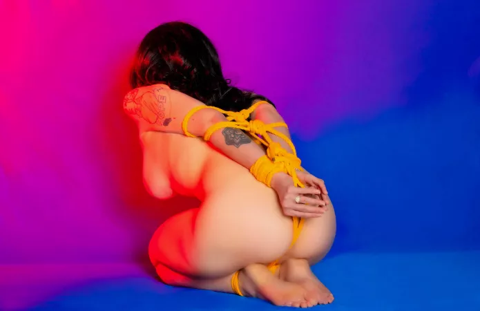 [self] Wonder Woman tied up with her own lasso by OpenBobsPlz