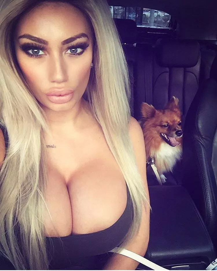 Selfie featuring pocket dog posted by NeedMoarBoobs