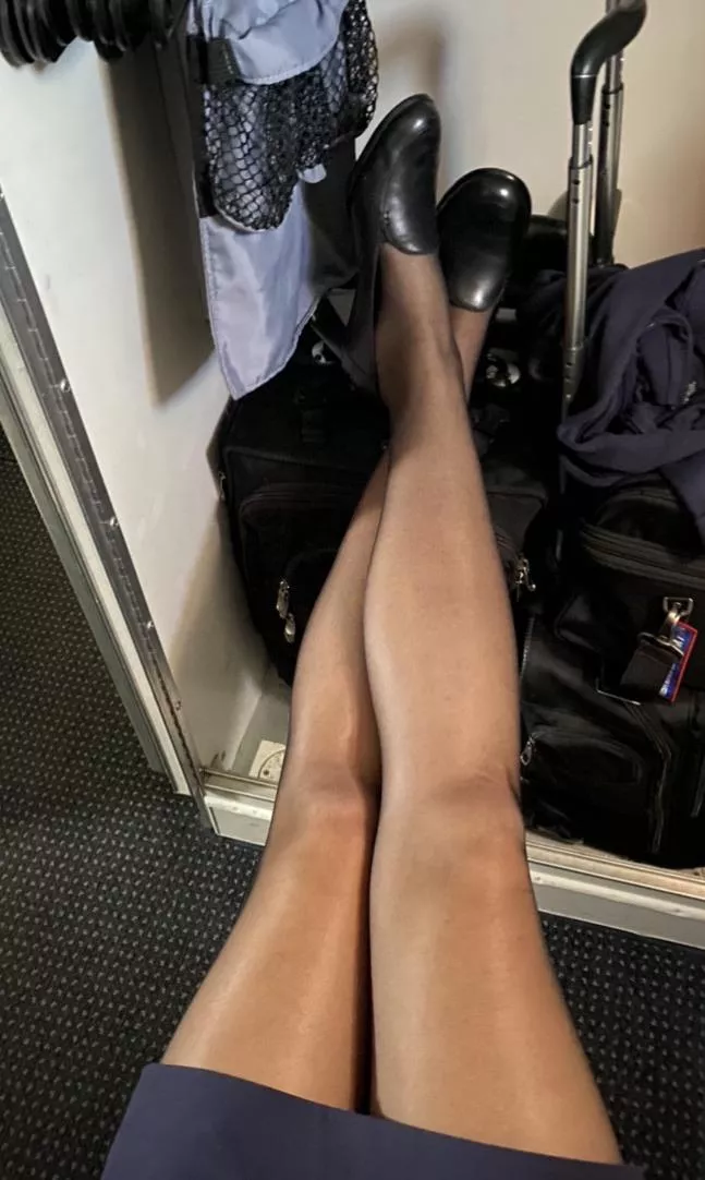 [selling] Flight Attendant pantyhose & panties ✈️ Message me! [kik] Shannon.Stew posted by ShannonStew