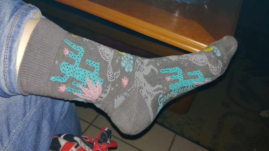 [SELLING] Sweaty post-hike socks, drying now and available tomorrow morning. by DezrtBat