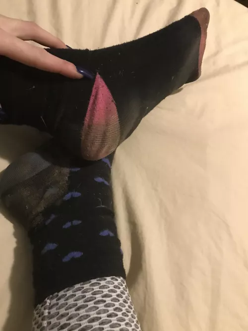 [selling] well I think after 3 weeks off hard work these beauties are looking for there new home 🥰 by Xxcatthyx