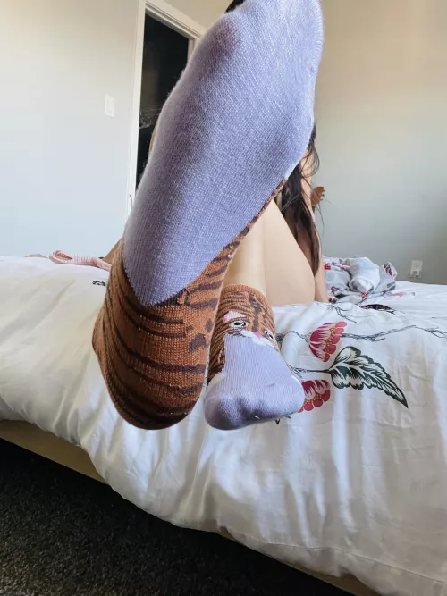 [Selling][US] Here you go, come take a sniff 💜 by Silly-Asian-Kitty