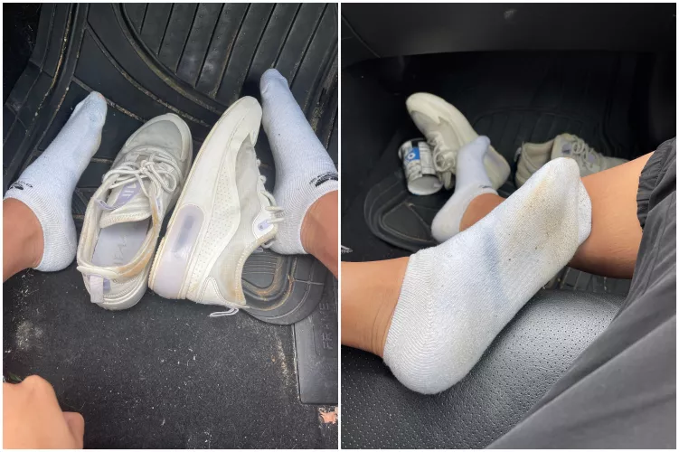 [Selling][US] Smell me 💜💜 by Silly-Asian-Kitty