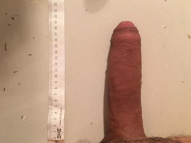 Semi hard measured (almost) correctly 🤔 by DistributionThis2408