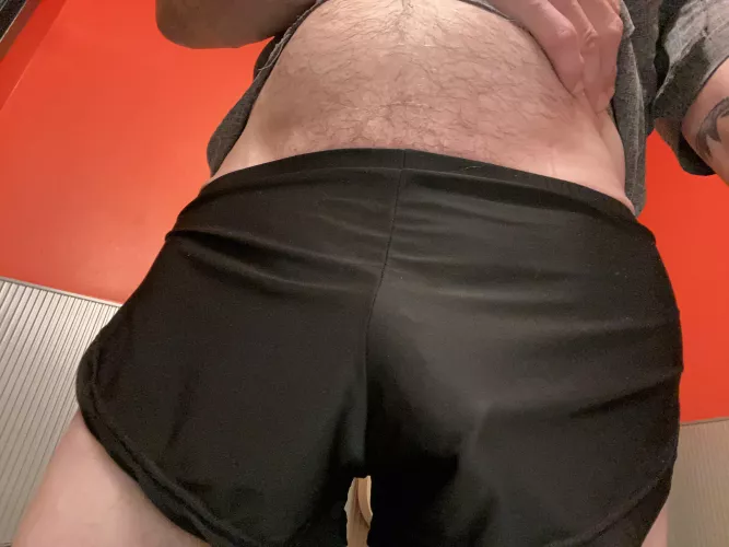 Semi in silkies by mlm6269