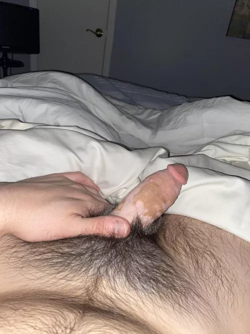 Semi what do you think? Dms open by wolfhorror13