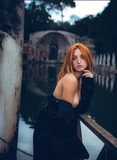 Send me please your dickpic 🔥🦊[oc] by Just_RedFox