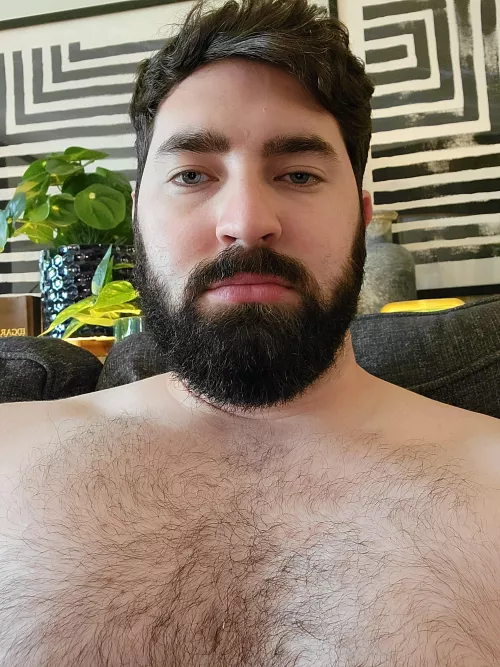 Serious face. by KingRatBukowski