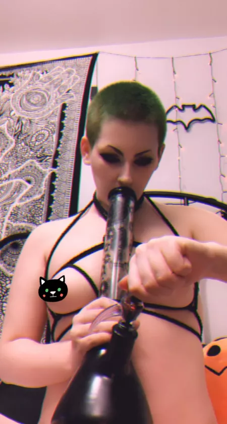 Sesh with me? 🪲🖤💨 by graveslvt