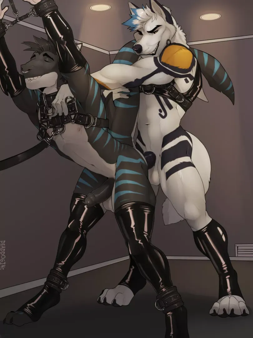 Session [MM] (Bambii_Dog) posted by pwrv_