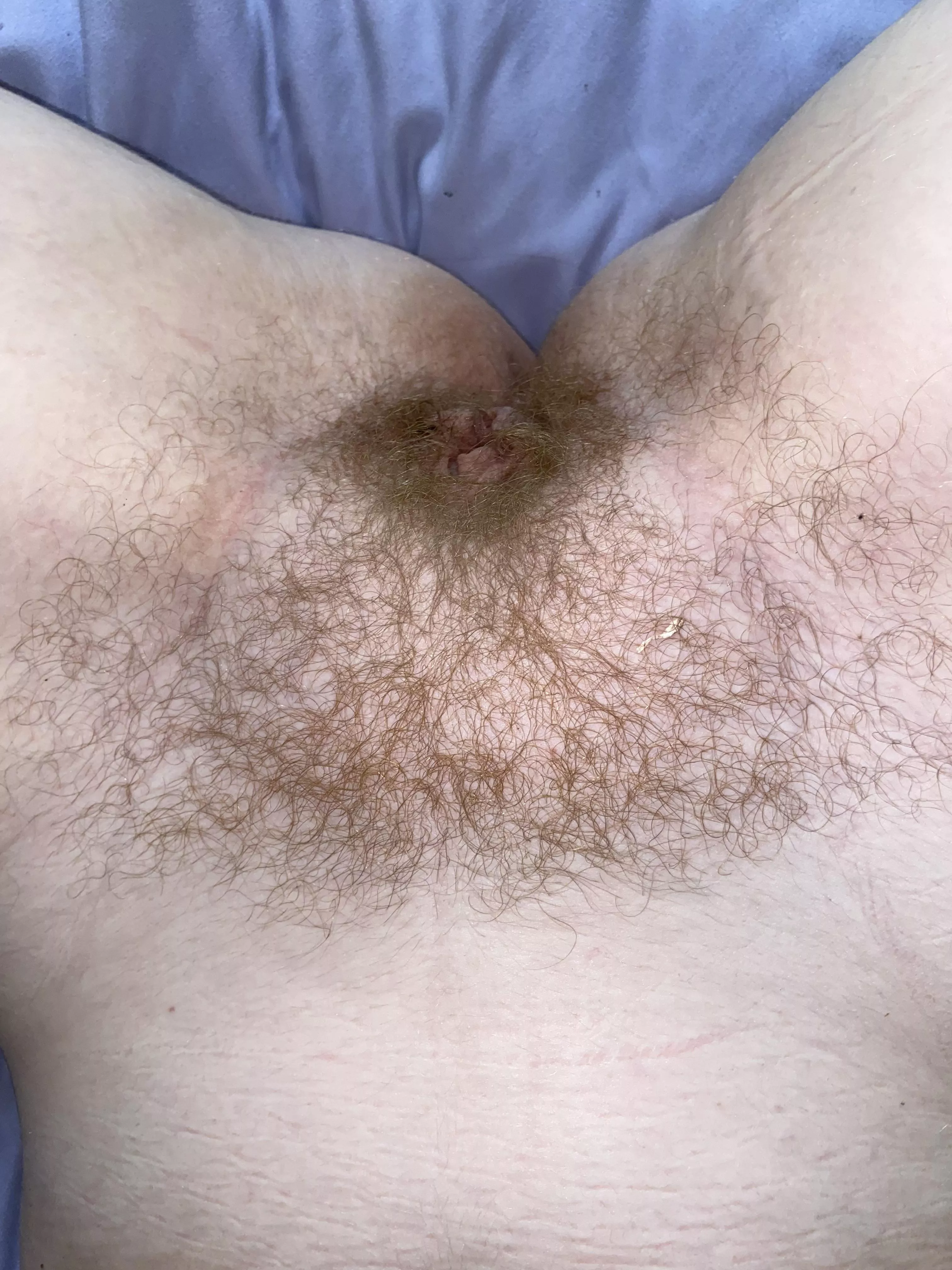 Sexy and hairy… best of both worlds posted by spicy-ginger-OF-chik