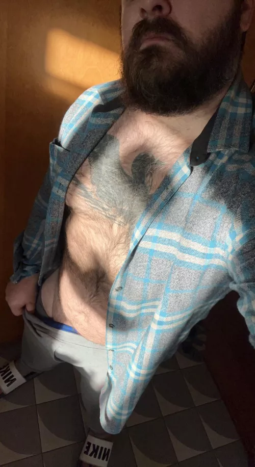 Shadowplay by WesternResearch