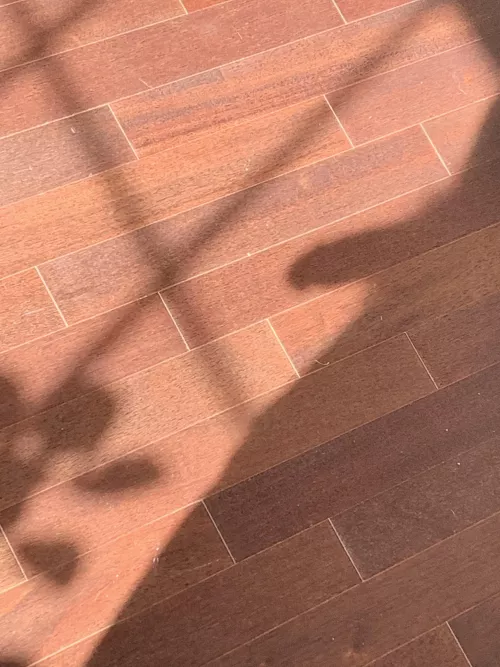 Shadows by niceynightnice