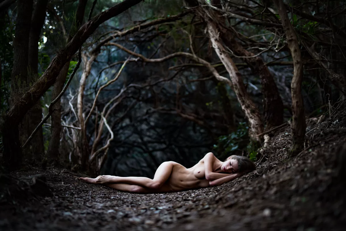 Shadowy wood posted by zadie_backinblack