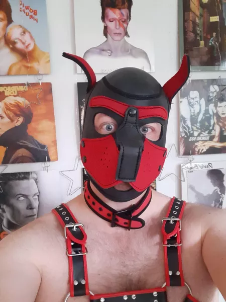 🎶 Shake it, shake it, baby 🎶 by Puppy_D