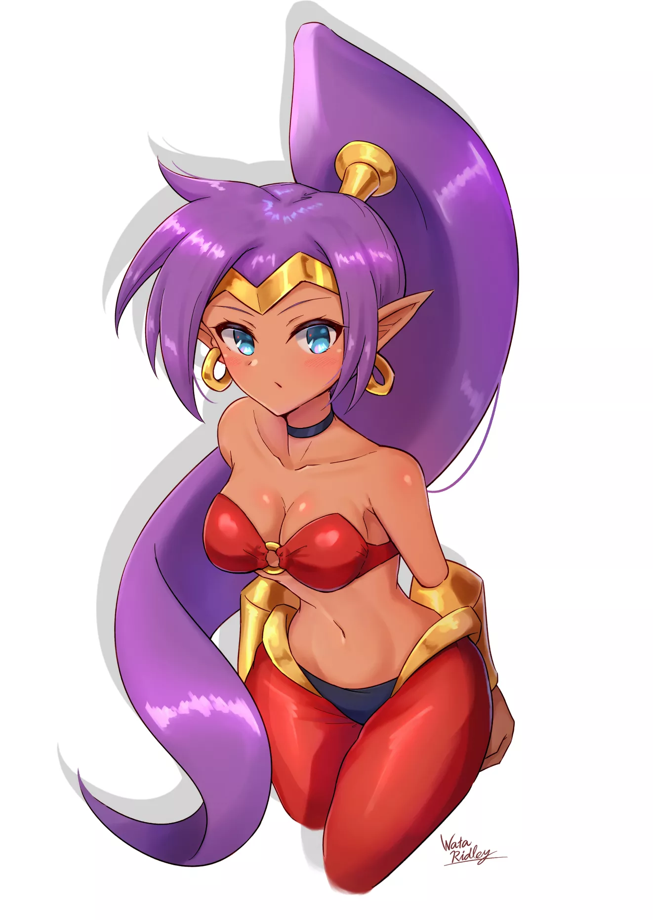 Shantae Curious Expression posted by sequence_string