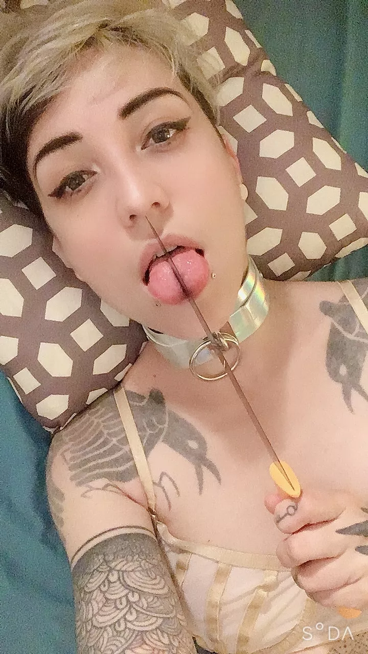 sharp posted by UrsinaeVespera