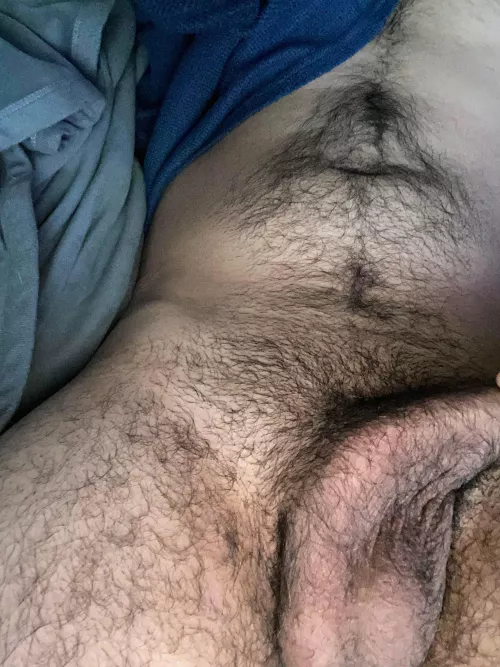 Shave or let it grow? by Hunky-Dory_