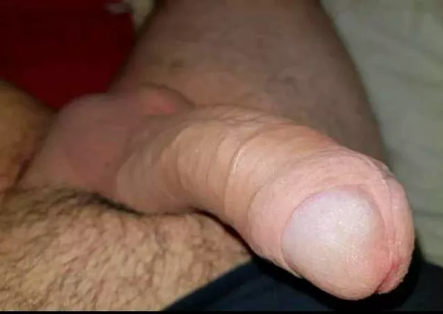 Shaved and laid out by Latter-Ad3147